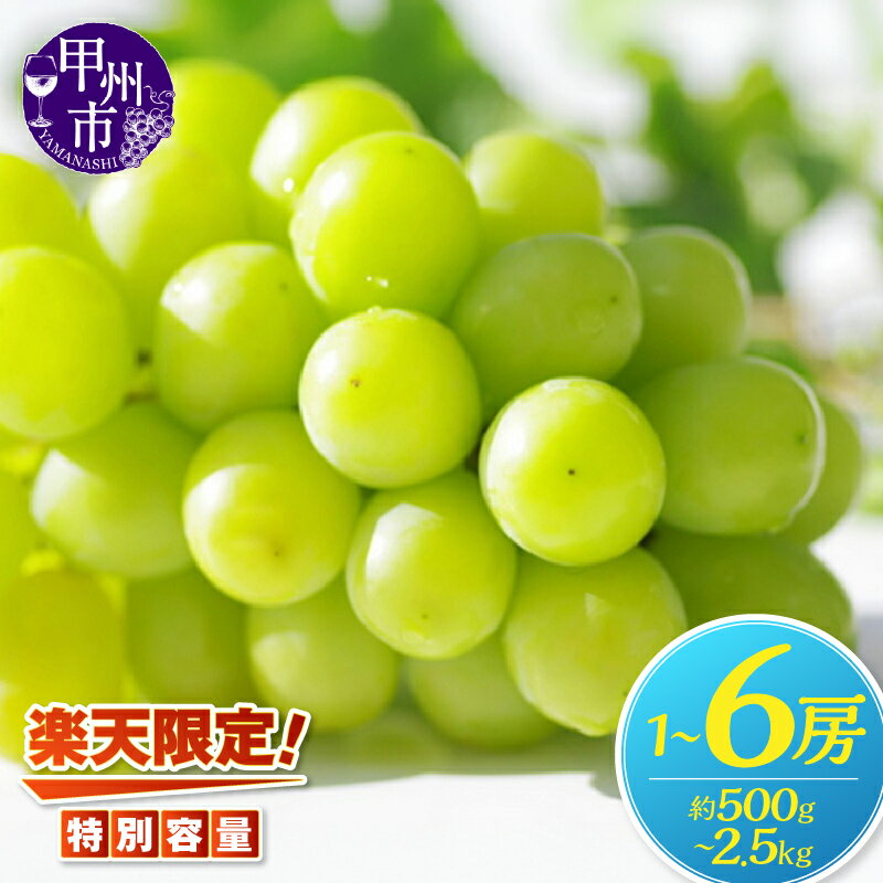【ふるさと納税】 2026年 先行予約 シャインマスカット 選べる 内容量 約500g 約1.2kg 約2.5kg 2〜6房 8月 9月 10月 発送 果物 人気 新鮮 産直 くだもの フルーツ 葡萄 ぶどう 産地直送 旬 甘い 大きい 果実 山梨県 甲州市 期間限定 社員マスカット （KSF）