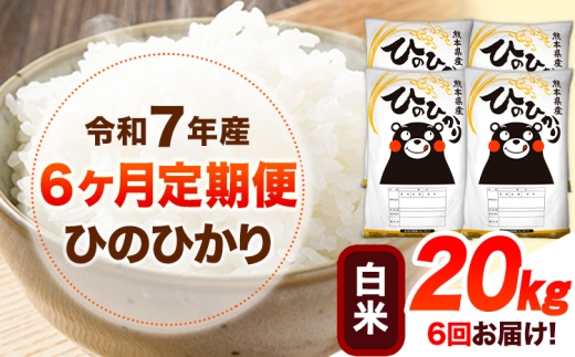 令和7年産【6ヶ月定期便】 白米 ひのひかり 20kg 《お申込み翌月から出荷》 熊本県産 白米 精米 ひの 送料無料 熊本県 山江村 SDGs 米 コメ こめ 国産