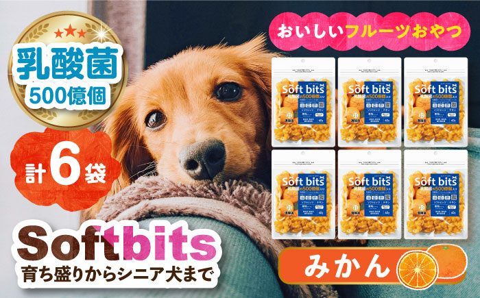 
Softbits （果物）みかん（40g×6P）長崎県/株式会社サポート [42AEAE011] ソフトビッツ ドッグ フード いぬ 犬 イヌ おやつ ペット 乳酸菌 国産 果物 くだもの みかん オレンジ シニア 幼犬 老犬 小分け 小型犬 中型犬 大型犬 ドック 安心
