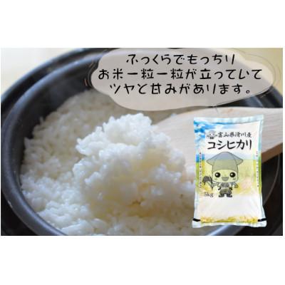 ふるさと納税 滑川市 滑川産コシヒカリ(令和8年産新米/精米)10kg |  | 01