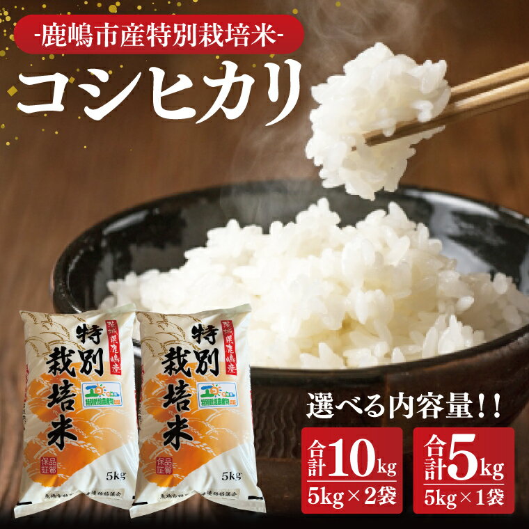 【ふるさと納税】【選べる内容量】【令和7年産】鹿嶋市の子どもたちが食べている特別栽培米コシヒカリ5kg・10kg【お米 米 こしひかり 特別栽培 有機肥料 有機栽培 鹿嶋市 茨城県 白米 新米 おにぎり ごはん 15000円以内】(KBS-6)