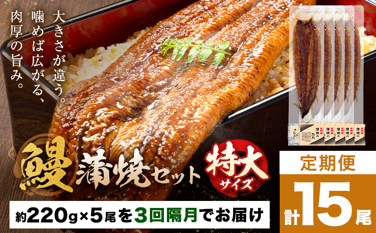 【隔月定期便全3回】＼特大サイズ／ 鹿児島県産 鰻蒲焼真空セット！ 5尾 タレ・山椒付！ 株式会社薩摩川内鰻 《お申込み翌月から出荷》 鹿児島県 さつま町 送料無料 ウナギ 丑の日 うなぎ 刻み グルメ 特大 鰻 蒲焼 真空