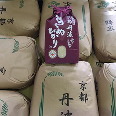 ふるさと納税 南丹市 【毎月定期便】新米 京都丹波産 キヌヒカリ 5kg 精米全8回 |  | 01