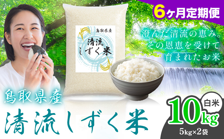 【6ヶ月定期便】鳥取 ふるさと 白米 10kg 清流しずく米《お申し込み月の翌月から出荷開始》鳥取県 八頭町 米 お米 ご飯 八頭 ふるさと無洗米 生活応援 ブレンド米 複数原料米 訳あり 小分け kome ご飯