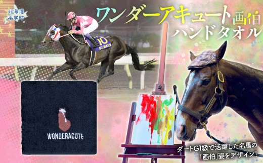 【ワンダーアキュート画伯】ハンドタオル 【ふるさと納税 人気 おすすめ ランキング 馬 競馬 競走馬 引退馬 ワンダーアキュート タオル ハンドタオル   生活 日高 北海道 平取町 びらとり 送料無料】  BRTV206