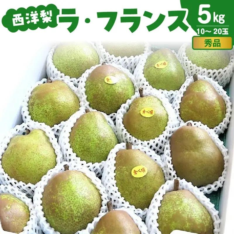 西洋梨（ラ・フランス）５ｋｇ　中玉～大玉　0075-2609