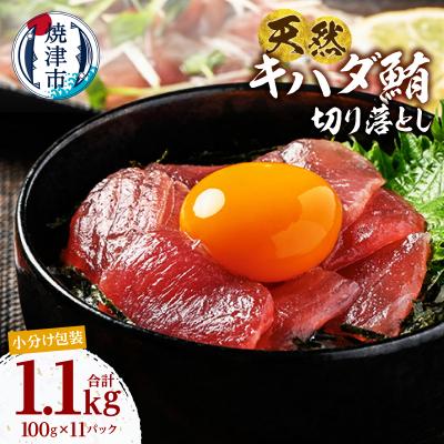 ふるさと納税 焼津市 天然 キハダマグロ 切り落し 小分け 焼津 海の極 計1.3kg 100g×13P(a14-114)