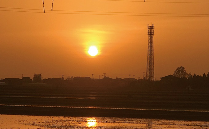 特別栽培米 新潟産コシヒカリ白米 10kg（5kg×2）