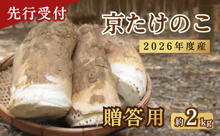 【先行予約】【数量限定】京たけのこ 約2kg 贈答用 春野菜 たけのこ