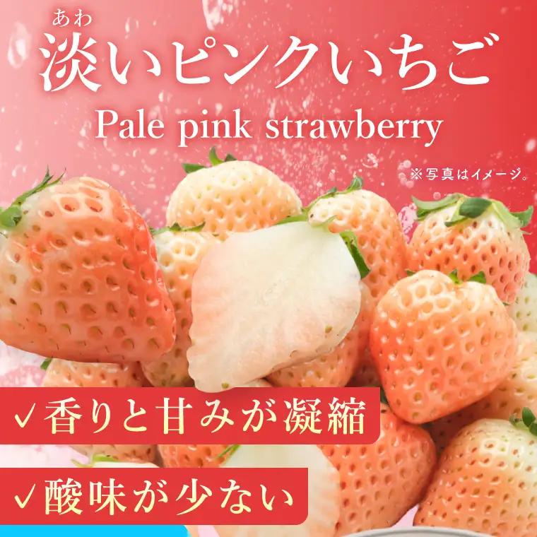 【数量限定】冷凍いちご 希少なプレミアム白イチゴ『淡雪』1kg入×2袋 合計2kg オリジナルレシピ有り（DO-1）