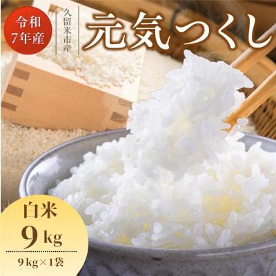 ふるさと納税 久留米市 【令和7年産 新米】福岡県産ブランド米 元気つくし(白米) 9kg(久留米市)