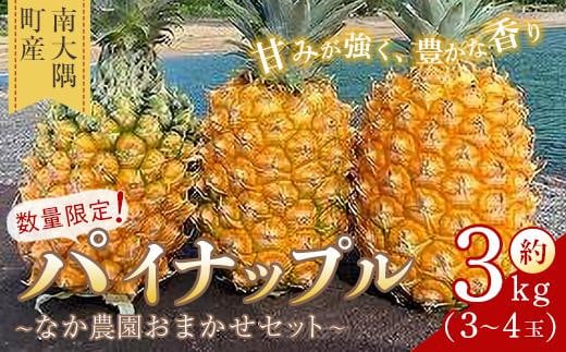 【先行予約】数量限定！　国産パイナップル　約3ｋg（3～4玉）～なか農園おまかせセット～