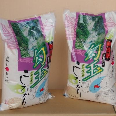 ふるさと納税 糸魚川市 令和7年産 勾玉米こしひかり精米5kg×2袋 |  | 03