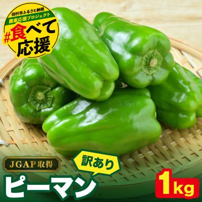 ふるさと納税 田村市 【訳あり】 福島県 田村市産 ピーマン 1kg