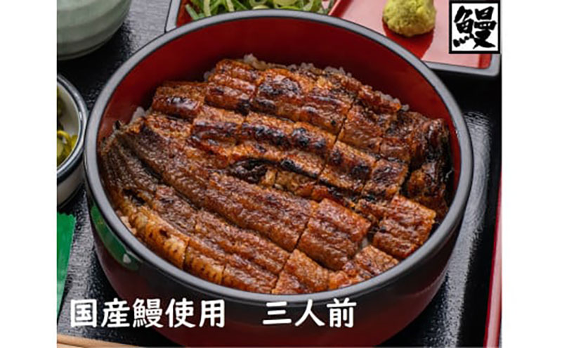 【ふるさと納税】おうちでひつまぶし3人前と白焼き3人前／炭火焼うなぎ　鰻 ウナギ 国産 ひつまぶし