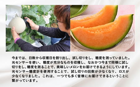 【先行予約】赤肉パリスメロン 秀品 2玉（1.5kg以上×2玉）【アールス系赤肉メロン】《糖度16度程度！1株1果採りで育てる高級メロン！》／ 果物 フルーツ 農家直送 赤肉 マスクメロン アールスメ