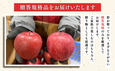 12月発送 100年の歴史 贈答規格サンふじ 約3kg【田中農園・青森県平川市産・青森りんご】