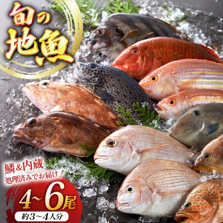 【ふるさと納税】地魚 詰合せ 4〜6尾 [平戸瀬戸市場 長崎県 平戸市 hr42bgy420042] うろこ内蔵処理済み 朝獲れ