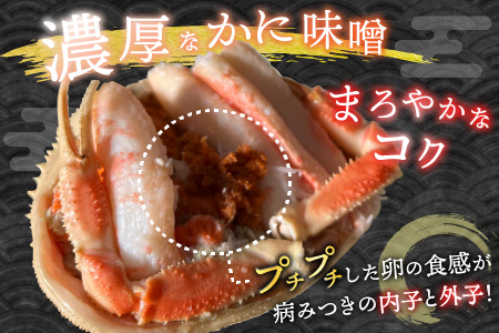 【先行予約】 越前がにのメス (せいこがに) 甲羅盛り 3杯 (1杯 約60～80g) 合計約200g以上 【2025年8月上旬以降順次発送予定】 【かに むき身 せいこがに セイコカニ セコガニ ボ