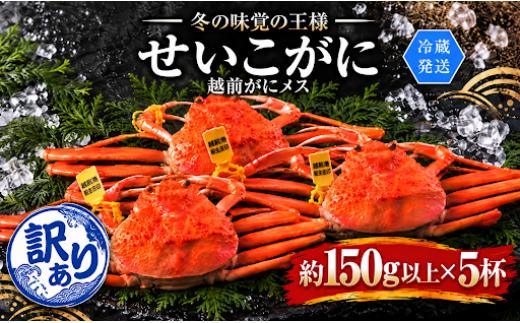 【冷蔵発送】＼早期予約開始／越前がに（メス）「せいこがに」訳あり 150g前後 ×  5杯