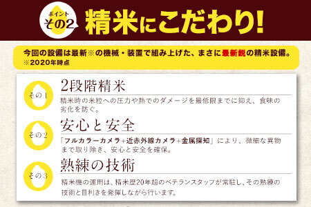 令和6年産 新米 無洗米 ひのひかり 森のくまさん 2種 食べ比べ 米 20kg 《11月-12月より出荷予定》 ヒノヒカリ お米 こめ 高レビュー 熊本県産（荒尾市産含む） 精米 荒尾市 森くま ブ