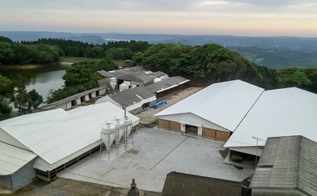 佐賀牛 サーロインステーキ 厚切り 3枚 合計870g _e-22