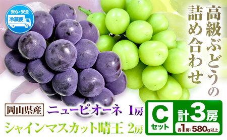 岡山県産ニューピオーネ＆シャインマスカット「晴王」 Cセット （1房580g以上）先行受付《9月上旬-10月下旬頃》【配送不可地域あり】