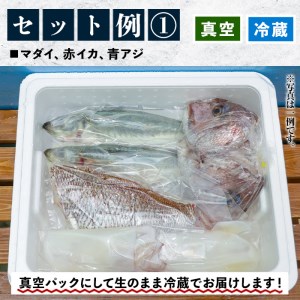 鮮魚詰合せ！ 朝どれの鮮魚を産地直送で！ 新鮮な海の幸(鮮魚)の詰合せ【A-585H】