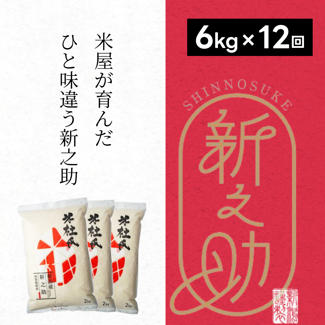 【令和7年産】 12ヶ月定期便 特別栽培米 新之助 6kg (2kg×3袋)×12回 米杜氏 壱成 白米 精米 大粒 つや 光沢 弾力 芳醇 新潟県 米 こめ コメ 1H26265
