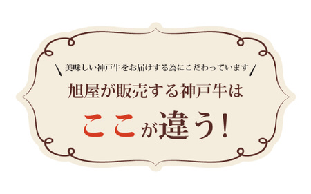 加古川市産  黒毛和牛(播州牛) 特上赤身スライス 500g