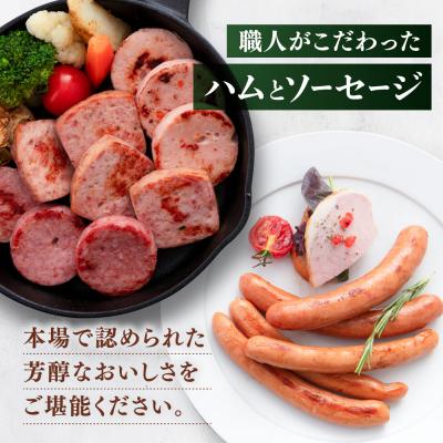 ふるさと納税 糸島市 マイスターギフトセット 10種詰め合わせ (ハム/ソーセージ/ウインナー) [AAC001] |  | 01