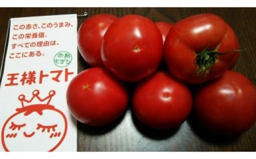 【ふるさと納税】 王様トマト 贅沢セット 3kg以上 トマト とまと 野菜 王様とまと 完熟 赤熟もぎり リコピン 美白効果 日持ちがよい 美味しい おいしい みずみずしい 期間限定 くろぜむ農園 神奈川 三浦市 おすすめ ランキング プレゼント ギフト