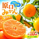 【ふるさと納税】【先行予約】【訳あり】 原口みかん 約10kg （S〜Lサイズ混合）＜横坂農園＞[CFW004] 長崎 西海 みかん ミカン 蜜柑 柑橘 甘い 5kg 10kg 訳あり