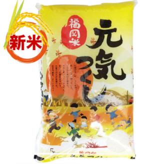 【令和5年産】福岡県産米食べ比べ＜白米＞「夢つくし」と「元気つくし」セット 計10kg岡垣町