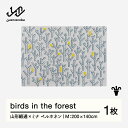 【ふるさと納税】 【山形緞通×ミナ ペルホネン】birds in the forest (M) [oc-lpbfm]