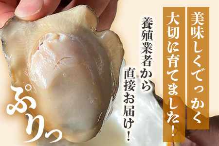 【期間限定】【牡蠣】【有明海】かしまん牡蠣(養殖）殻付き　3kg　かき　佐賀県　鹿島市　有明海　C-114