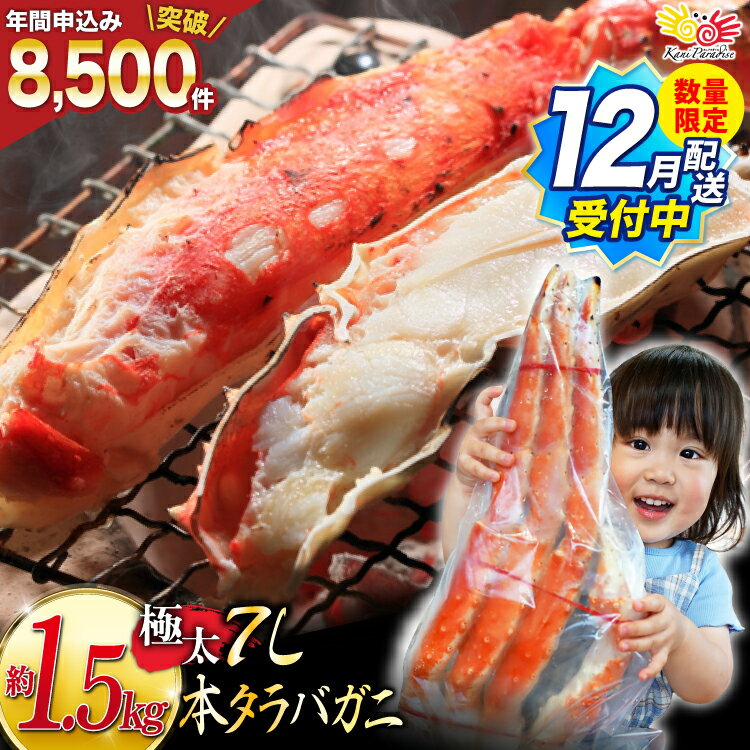 【ふるさと納税】 12月配送受付中 数量限定【選べる配送時期】本 タラバガニ 脚 ボイル済 約1.5kg 極太7Lサイズ [カネダイ 宮城県 気仙沼市 20564326] カニ かに 蟹 たらばがに たらば蟹 タラバ蟹 たらば タラバ ボイル 年末 年内配送 12月配送