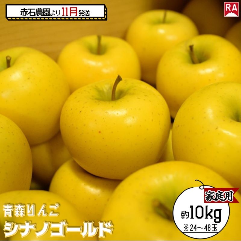 【ふるさと納税】りんご 【 11月発送 】 家庭用 シナノゴールド 約 10kg 【 弘前市産 青森りんご 果物類 林檎 リンゴ 】　お届け：2025年11月1日～2025年11月30日