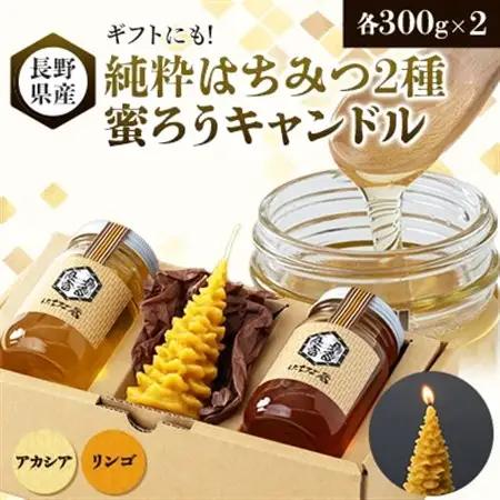 【ギフトセット】純粋はちみつ×蜜ろうキャンドル(モミの木)【1485317】