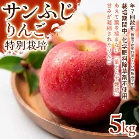 【濃厚な甘みとしっかり食感】サンふじ 5kg 1セット【1779795】