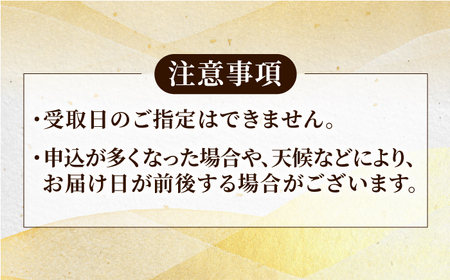 【全12回定期便】【五島列島産 幻の高級魚！】クエ 鍋セット 4人前【豊建設株式会社】[RAE014]