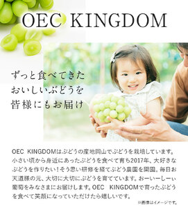 ご家庭用 シャイン マスカット 2～3房 (合計1kg以上)【配送不可地域あり】 OEC KINGDOMぶどう家 《8月下旬-10月中旬頃出荷》岡山県 浅口市 ぶどう 果物