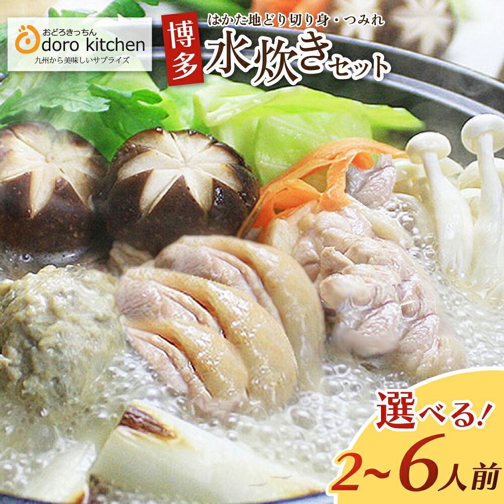 【ふるさと納税】 選べる容量！ おどろきっちん 博多水炊き(はかた地どり) 2〜3人前／4〜6人前 水炊き 福岡 博多 送料無料 レビューキャンペーン