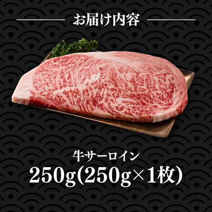 博多和牛 サーロイン ステーキ 250g×1枚 VBB009 牛肉 国産牛 和牛 ステーキ サーロイン