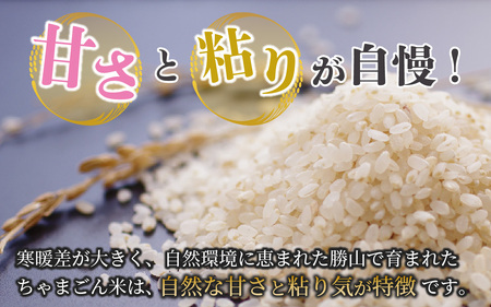 【定期便3ヶ月連続】勝山のお米コシヒカリ 精米 10kg（計 30kg） [I-010022]