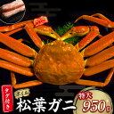 【ふるさと納税】 【魚倉】タグ 付き ボイル 松葉ガニ （特大 950g 以上） ズワイガニ 松葉蟹 カニ かに かにしゃぶ 【11月から3月発送予定】