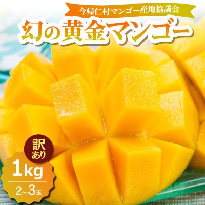 【2026年7月中旬から順次発送・訳あり】今帰仁産の幻の黄金マンゴー1kg(2～3玉)【配送不可地域：離島】