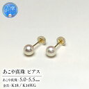 【ふるさと納税】 真珠 ピアス 5.0～5.5ミリ ( K18 / K14 ) アクセサリー パール アコヤ真珠 伊勢 志摩 英虞湾 冠婚葬祭 慶事 弔事 結婚式 入学式 卒業式 ギフト フォーマル カジュアル 誕生石 記念日 25000円 / 老舗の 真珠 専門店・ 高品質 アコヤ真珠 ピアス 5.0-5.5ミリ