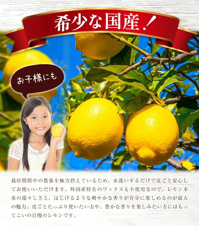国産レモン サイズ混合 3kg エイワ商店 檸檬 レモン