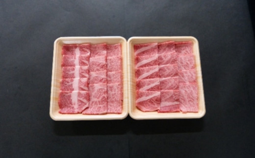 【１２ヶ月定期便】A5等級飛騨牛 焼肉用 600ｇ ロース又は肩ロース肉 2025/9/19～